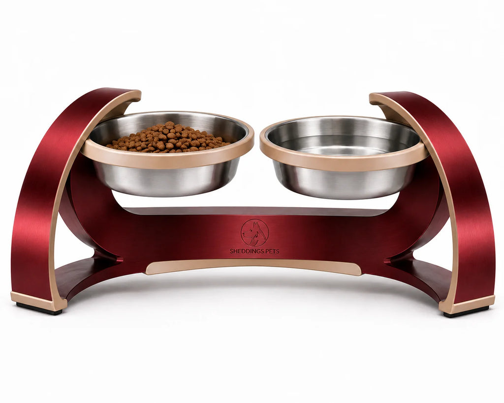 Sheddings-Elevate-Arc-Stainless-Steel-Raised-Dog-Feeding-Station-3-1.png
