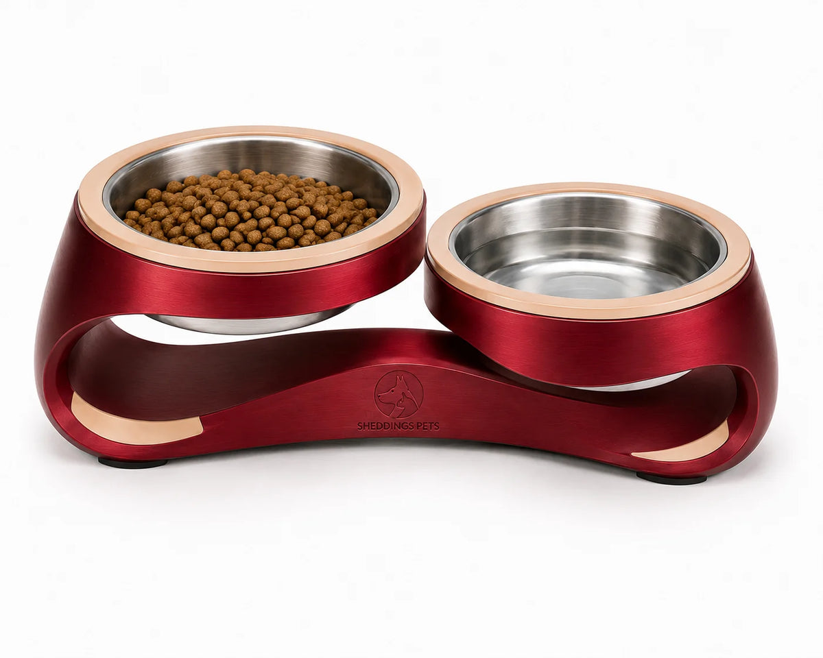 Sheddings-TwinVault-Stainless-Steel-Double-Dog-Feeding-Station-4-1.png